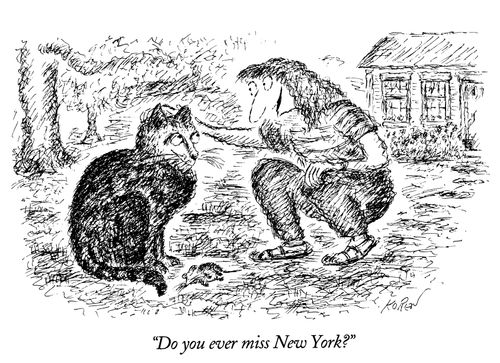 "Do you ever miss New York?"