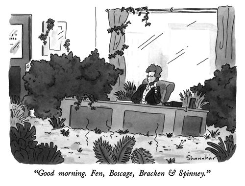 "Good morning. Fen, Boscage, Bracken & Spinney."