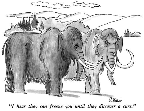"I hear they can freeze you until they discover a cure."