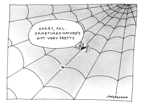 "Sorry, Pal. Sometimes nature's not very pretty."