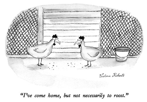"I've come home, but not necessarily to roost."