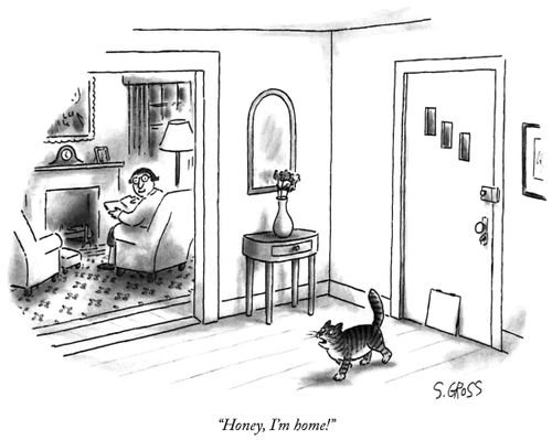 "Honey, I'm home!"