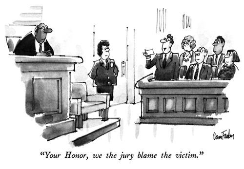 "Your Honor, we the jury blame the victim."