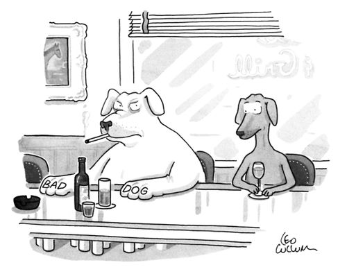 Average dog sits at bar and looks nervously at a big tough dog, who has the words BAD DOG tattooed on his paws. 