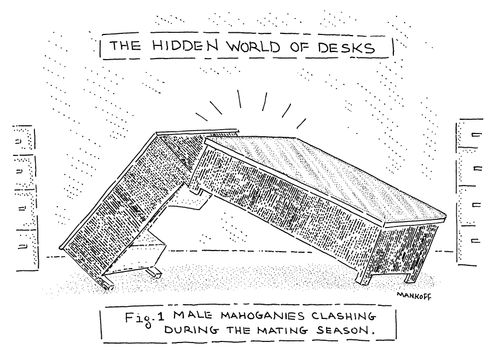 The Hidden World of Desks