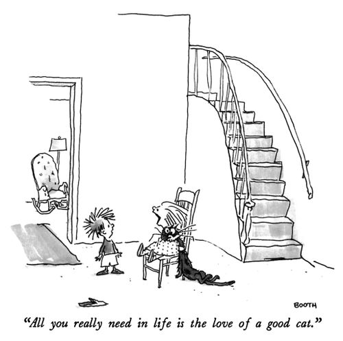 "All you really need in life is the love of a good cat."
