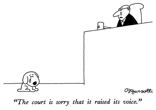"The court is sorry that it raised its voice."