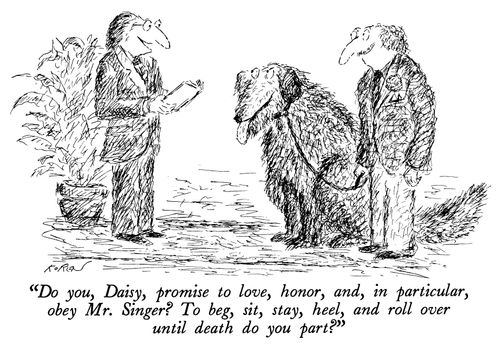 "Do you, Daisy, promise to love, honor, and, in particular, obey Mr. Singer? To beg, sit, stay, heel, and roll over until death do you part?"
