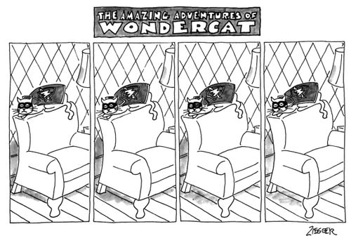 The Amazing Adventures of Wondercat.
