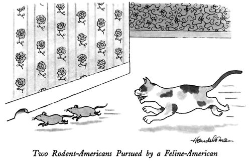 "Two Rodent-Americans Pursed by a Feline-American."