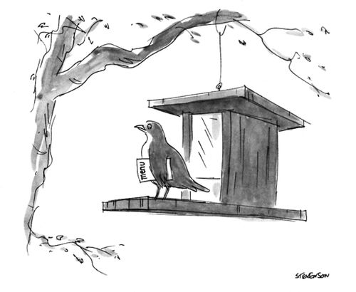 Bird Feeder Restaurant