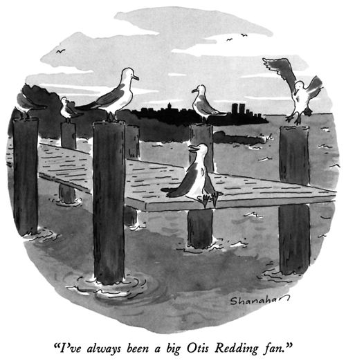 "I've always been a big Otis Redding fan."