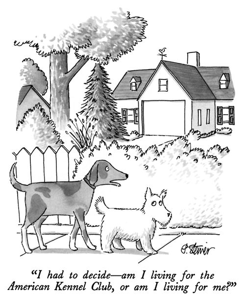 "I had to decide—am I living for the American Kennel Club, or am I living for me?"