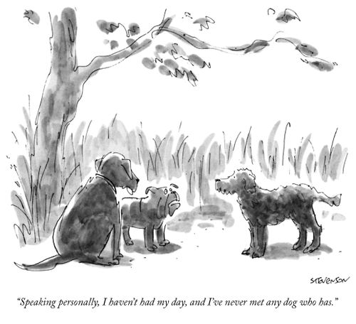 "Speaking personally, I haven't had my day, and I've never met any dog who has."