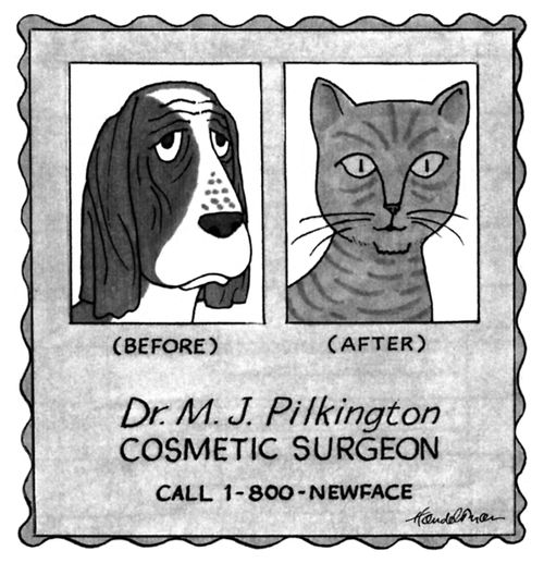 Dr. M.J. Pilkington Cosmetic Surgeon