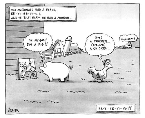 Old MacDonald had a farm, ee-yi-ee-yi-oh, and on that farm he had a mirror...