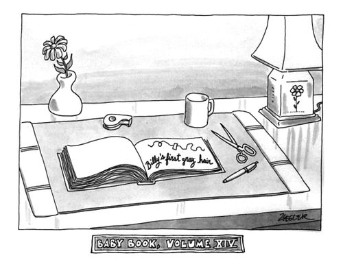 BABY BOOK VOLUME XIV