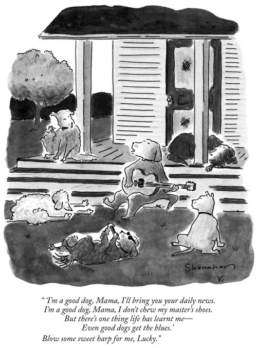 "'I'm a good dog, Mama, I'll bring you your daily news. I'm a good dog, Mama, I don't chew my master's shoes. But there's one thing life has learnt me - Even good dogs get the blues.' Blow some sweet harp for me, Lucky."