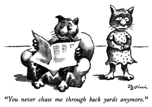 "You never chase me through back yards anymore."