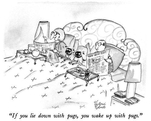 "If you lie down with pugs, you wake up with pugs."