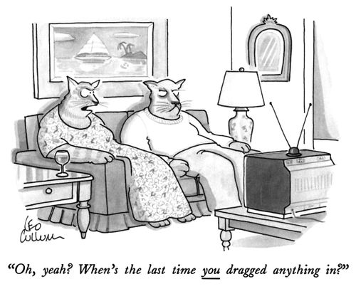 "Oh, yeah? When's the last time you dragged anything in?"