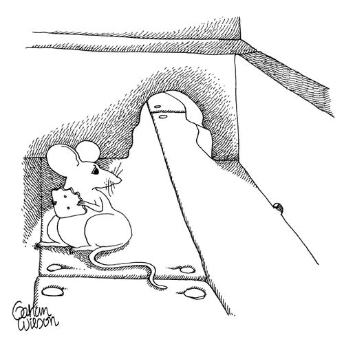Tiny Mouse Hole
