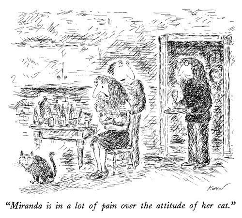 "Miranda is in a lot of pain over the attitude of her cat."
