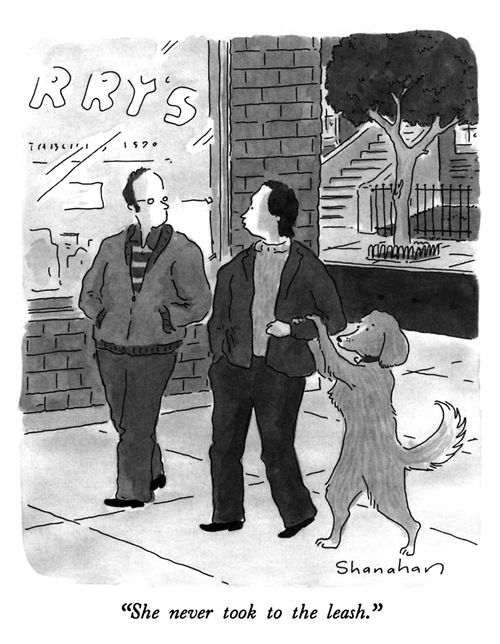 "She never took to the leash."