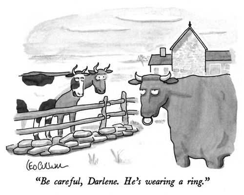 "Be careful, Darlene. He's wearing a ring."