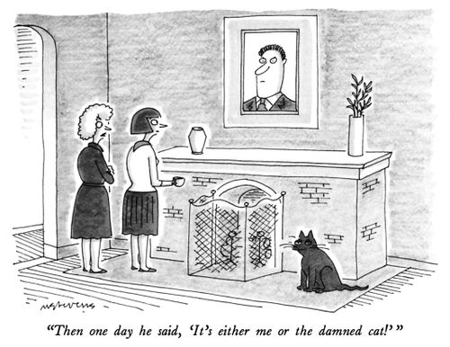 "Then one day he said, 'It's either me or the damned cat!'"
