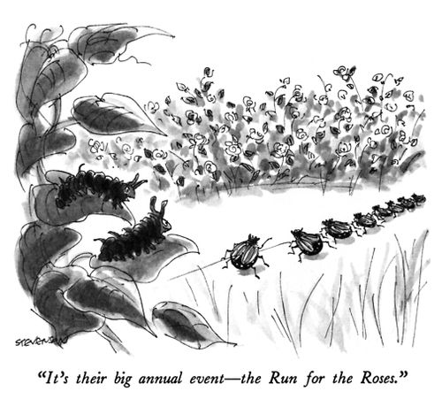 "It's their big annual event—the Run for the Roses."