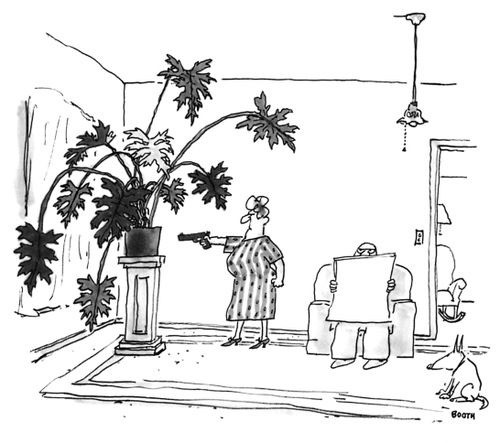 Dead House Plant