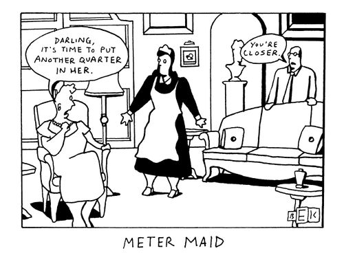 METER MAID