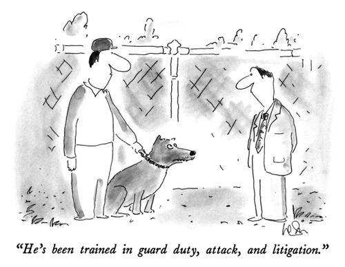 "He's been trained in guard duty, attack, and litigation."