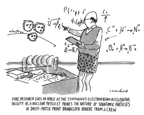 Pure research goes on apace at the continuous-electron-beam-accelerator facility as a nuclear physicist probes the nature of subatomic particles in Daisy-Patch print broadcloth boxers from J. Crew.