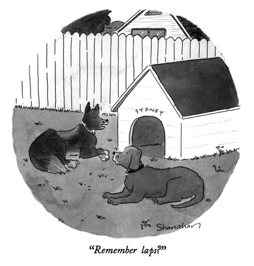 "Remember laps?"