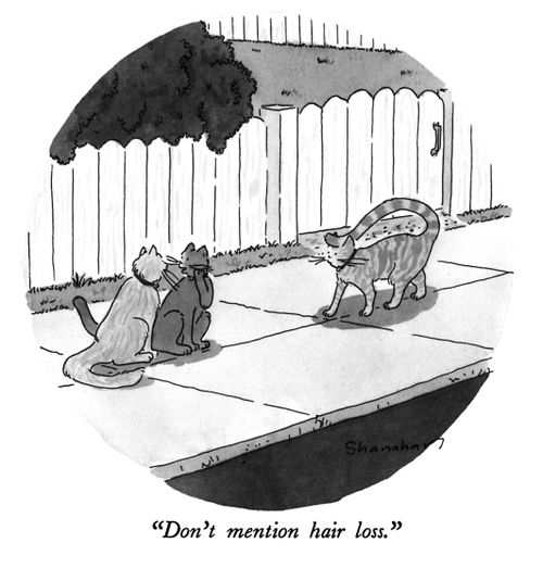 "Don't mention hair loss."