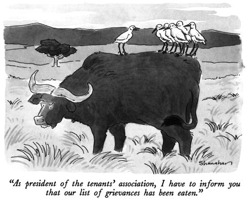 "As president of the tenants' association, I have to inform you that our list of grievances has been eaten."