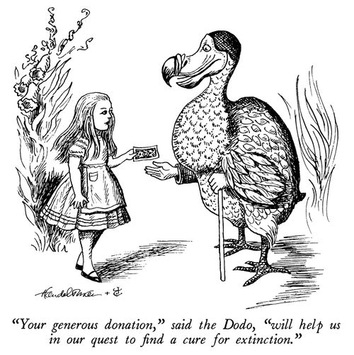 "Your generous donation," said the Dodo, "will help us in our quest to find a cure for extinction."