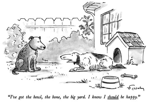 "I've got the bowl, the bone, the big yard. I know I should be happy."