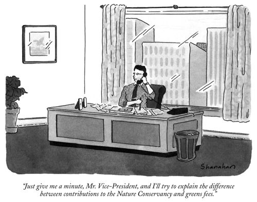 "Just give me a minute, Mr. Vice-President, and I'll try to explain the difference between contributions to the Nature Conservancy and greens fees."
