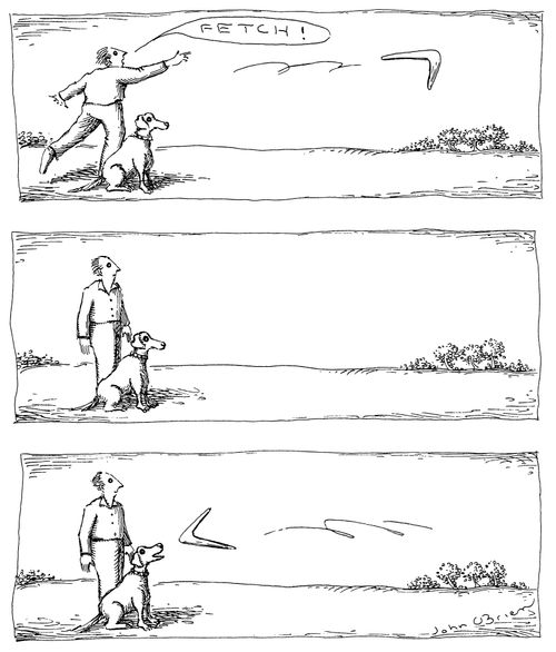Fetch the Boomerang