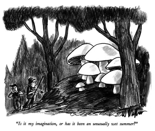 "Is it my imagination, or has it been an unusually wet summer?"