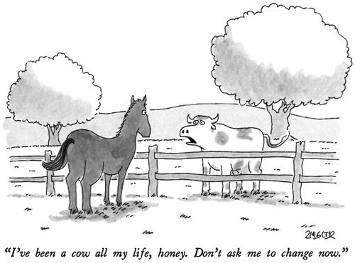 "I've been a cow all my life, honey. Don't ask me to change now."
