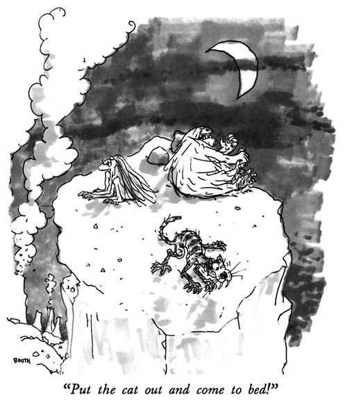 "Put the cat out and come to bed!"