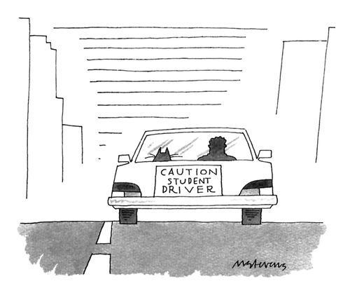 Caution Student Driver