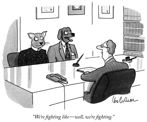"We're fighting like - well, we're fighting."