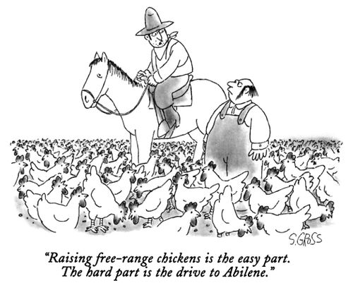 "Raising free-range chickens is the easy part. The hard part is the drive to Abilene."