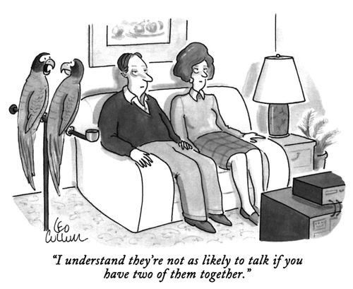 "I understand they're not as likely to talk if you have two of them together."