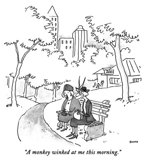 "A monkey winked at me this morning."